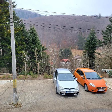 Casa Roxi Lägenhet Buşteni Exteriör bild