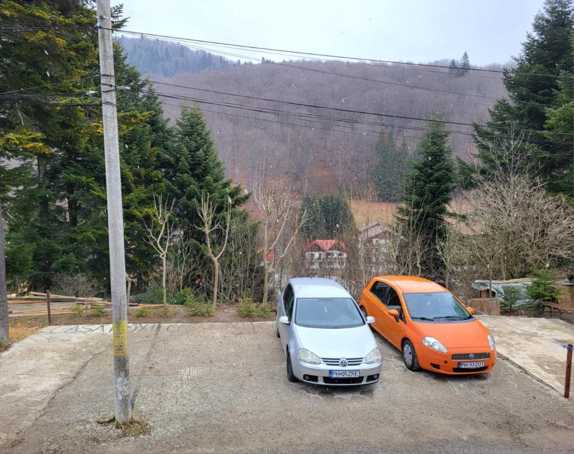 Casa Roxi Lägenhet Buşteni Exteriör bild