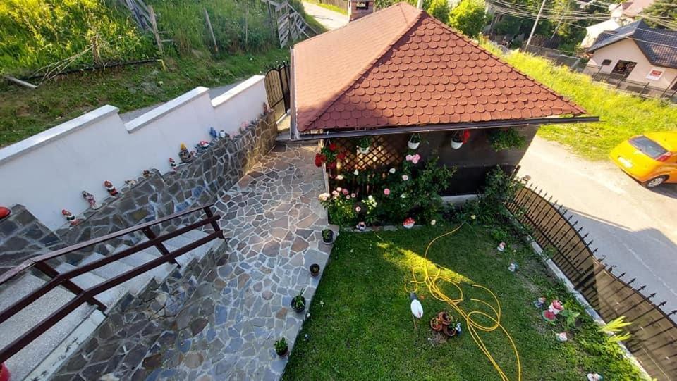 Casa Roxi Lägenhet Buşteni Exteriör bild
