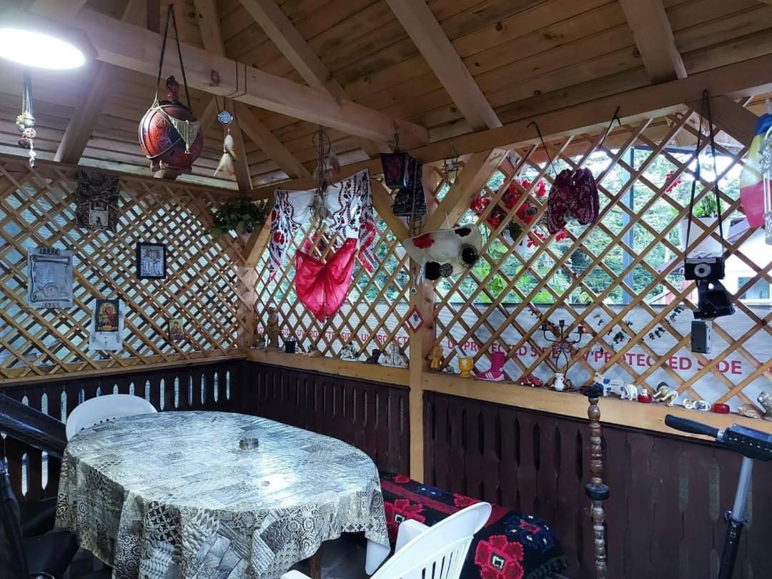 Casa Roxi Lägenhet Buşteni Exteriör bild